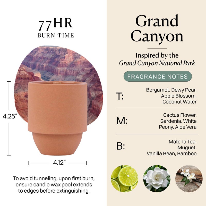 Paddywax Parks, Grand Canyon Scented Candle in Ceramic Jar with Crackling Wood Wick, Soy Candle with Approx. 77 Hour Burn Time, Decorative Gift Candles for Home, Cactus Flower & Fern Scent, 11 oz - Image 3
